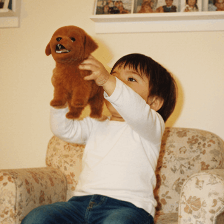 PupBud customer~~Sandra K. – Florida, USA